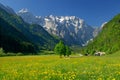 Spring in alpine valley
