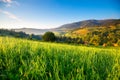 Spring alps landscape. Spring alps landscape with green hills. Fresh green grass with morning dew in sunshine.