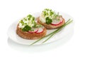 Spring appetizer with cream cheese, radish Royalty Free Stock Photo