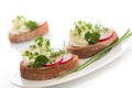 Spring appetizer with cream cheese, radish Royalty Free Stock Photo