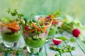 Spring appetizer Royalty Free Stock Photo