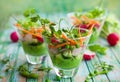 Spring appetizer Royalty Free Stock Photo