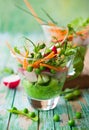 Spring appetizer Royalty Free Stock Photo