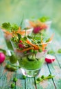 Spring appetizer Royalty Free Stock Photo