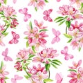 Spring apple flowers and butterfly, floral watercolor background. Seamless pattern. Pink flower hand drawn illustration Royalty Free Stock Photo