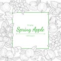 Spring Apple Frame, 100 Percent Organic, Hand Drawn Blossoming Branches and Apples Vector Illustration