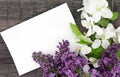 Spring apple tree blossom and lilac on rustic wooden background Royalty Free Stock Photo