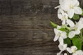 Spring apple tree blossom on rustic wooden background with space Royalty Free Stock Photo