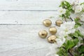 Spring apple tree blossom on rustic wooden background