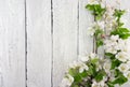 Spring apple tree blossom on rustic wooden background with space Royalty Free Stock Photo