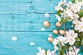 Spring apple tree blossom on turquoise rustic wooden background Royalty Free Stock Photo