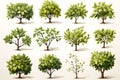 Spring apple trees come in many sizes small medium large white background.Generative Ai Royalty Free Stock Photo