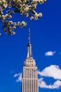 Spring April 2015 Close Up of Empire State Building with tree, N