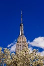 Spring April 2015 Close Up of Empire State Building with tree, N