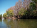 Spring in April on the Danube islands 1