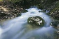 Spring in the Apuseni mountains Royalty Free Stock Photo