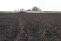 Spring arable land on a farm with black soil, fertile soil of the agro complex Royalty Free Stock Photo