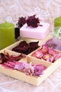 Spring aromatherapy Royalty Free Stock Photo