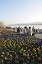 Spring arrived, the flowers are growing and ZÃÂ¼richs lake promeade is full of people enjoying the sunshine