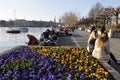 Spring arrived, the flowers are growing and ZÃÂ¼richs lake-promeade is full of people enjoying the sunshine