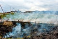 Spring arson of a grass in countryside