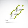 Spring ash leaf, botany and eco flat image. Vector illustration Royalty Free Stock Photo