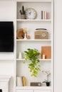 Spring atmosphere. Shelves with stylish accessories, potted plant and orchid indoors Royalty Free Stock Photo