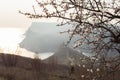 Spring atmospheric landscape in neutral shades. Panoramic view of the Cembalo fortress through the almond blossom