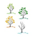 Spring autumn fall summer winter season isolated set tree clip art Royalty Free Stock Photo