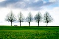 Spring or autumn landscape with blue sky background. Bald trees with fresh green grass. City green area. Lonely bench in the park Royalty Free Stock Photo