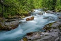 Spring Avalanche Creek Royalty Free Stock Photo