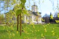 Spring awakening: blossoming birch branch against the background of churches, close-up Royalty Free Stock Photo