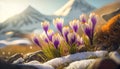 Spring awakening landscape with first purple crocus flowers on the snow at early morning sunrise sunlight. Generated AI.