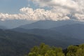 Spring, awakening in nature, mountainous terrain and blue sky, flowers and trees in their natural habitat, the period of mass flow