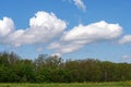 Spring, awakening in nature, mountainous terrain and blue sky, flowers and trees in their natural habitat, the period of mass flow