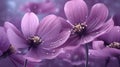 Spring awakening, Purple flowers on a fresh, abstract backdrop