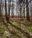 Spring awakening in the vicinity of Hamburg Royalty Free Stock Photo
