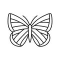 spring azure insect line icon vector illustration