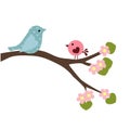 Spring baby illustration of couple birds on the branch