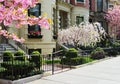 Spring in Back Bay Royalty Free Stock Photo