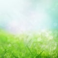 Spring background Royalty Free Stock Photo