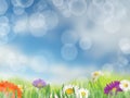 Spring background