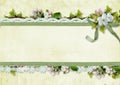 Spring background with apple flowers and lace