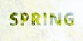 Spring background, banner. The inscription Spring on the background of a blossoming birch tree. Multiple exposure Royalty Free Stock Photo