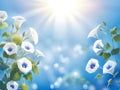 spring background with beautiful blooming white flowers, morning glory flower, Ai generated