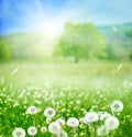 Spring background