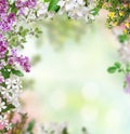 Spring background