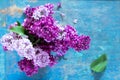 Spring background. Beautiful fresh lilac violet flowers Royalty Free Stock Photo