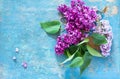 Spring background. Beautiful fresh lilac violet flowers Royalty Free Stock Photo