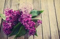 Spring background. Beautiful fresh lilac violet flowers Royalty Free Stock Photo